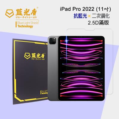 iPad Pro 4 (2022)